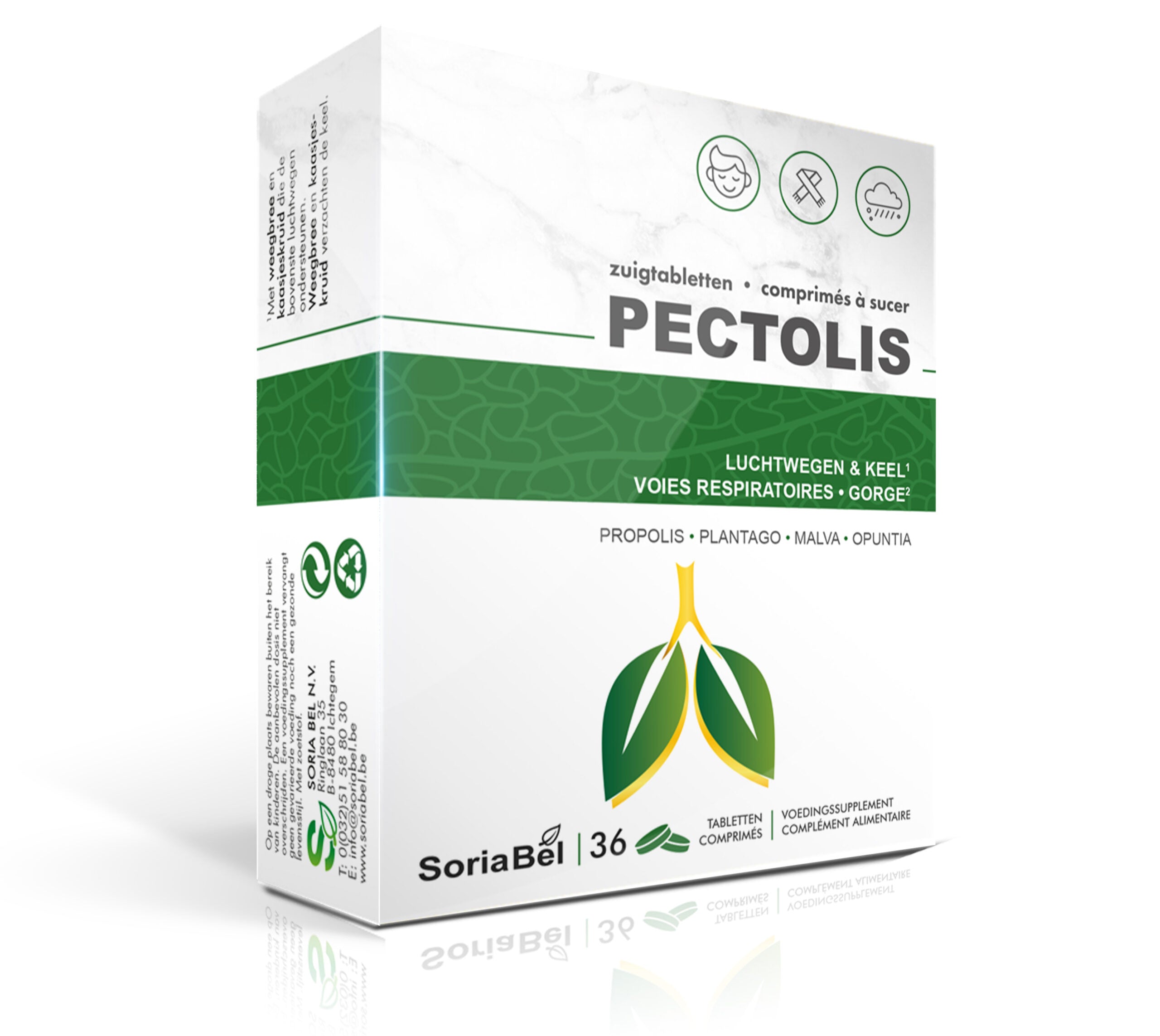 Pectolis tabl