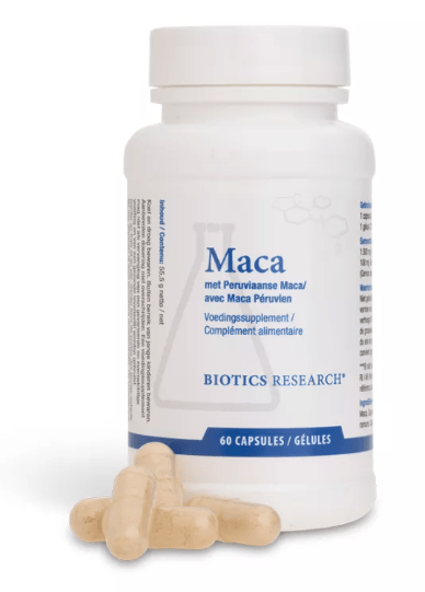 Maca