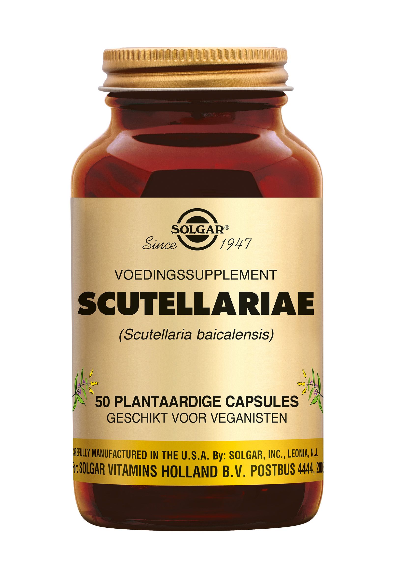 Scutellariae Solgar